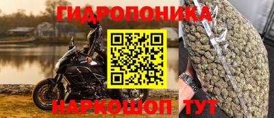 трава Балахна