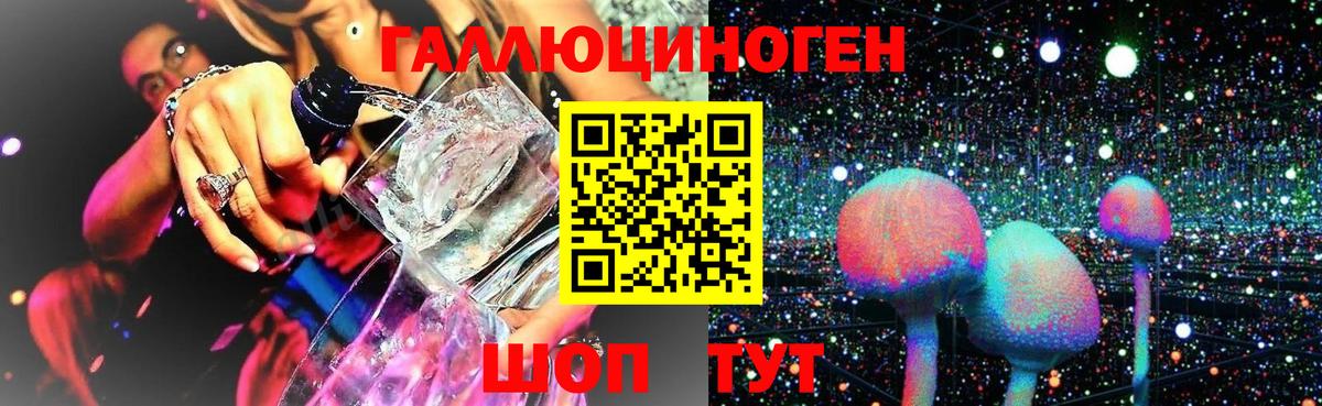 Джанкой  Галлюциногенные грибы Cubensis  Вход с VPN 