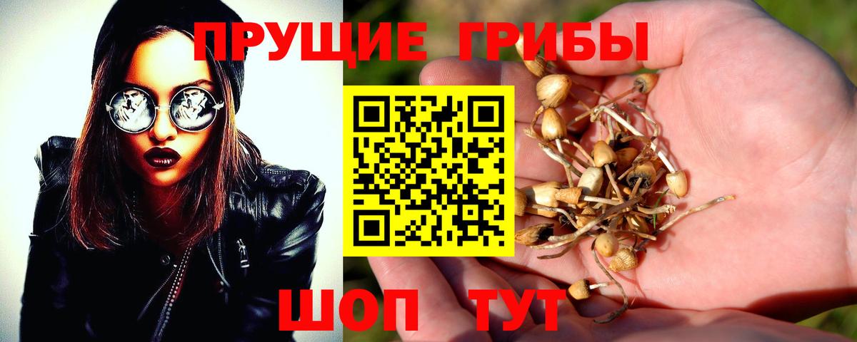Галлюциногенные грибы GOLDEN TEACHER Джанкой